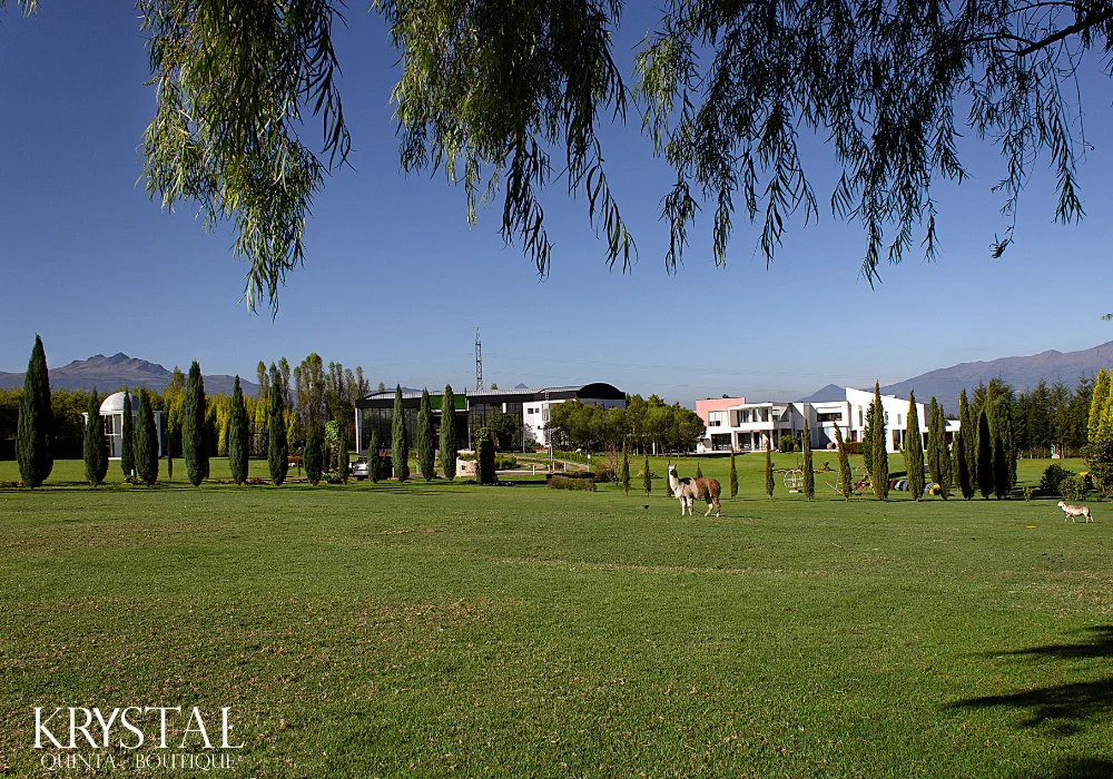 Quinta Kristal - Quito - Hotel Boutique - Naturaleza 2